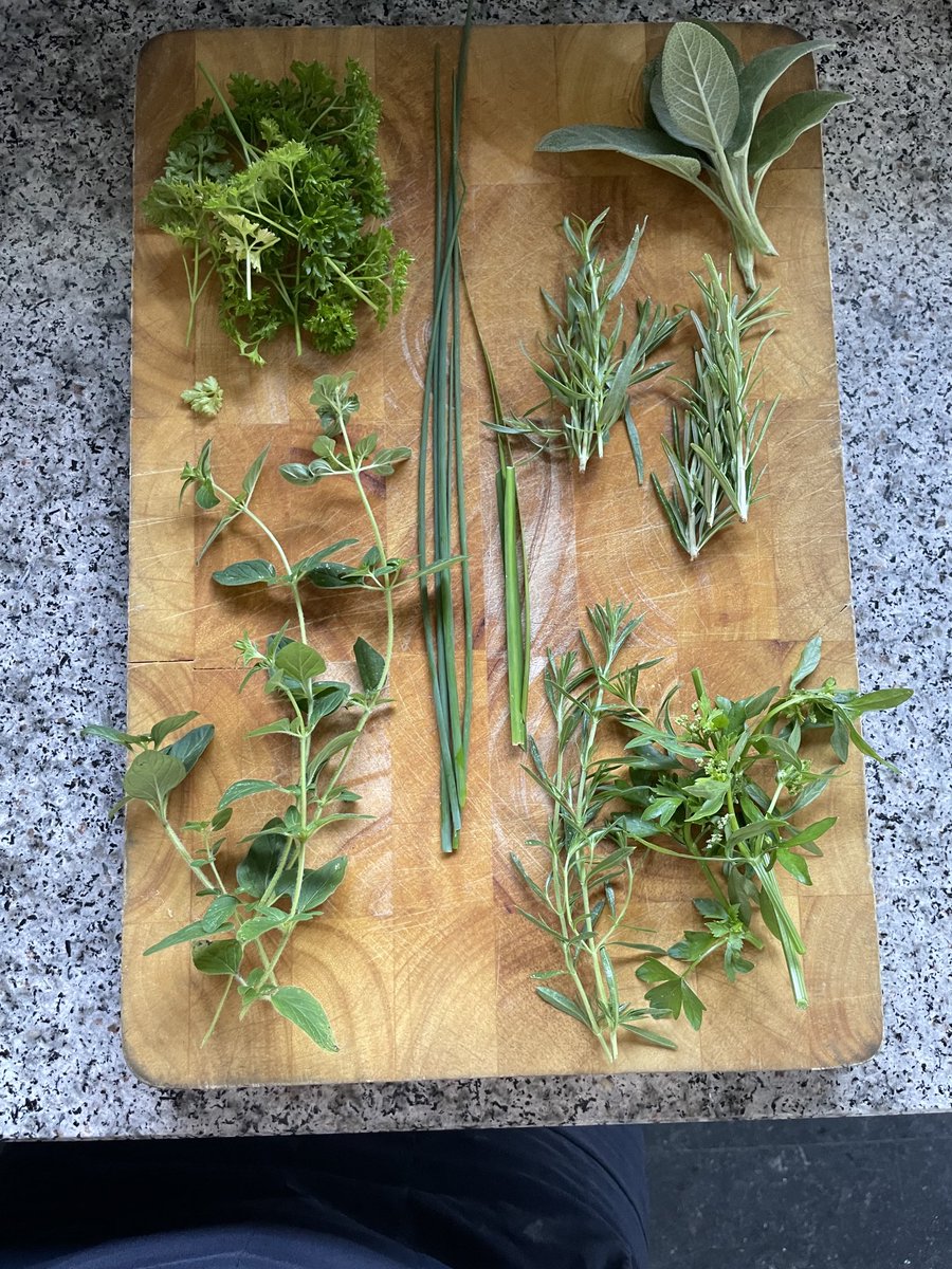 Pff eens kijken of ik met kruiden uit de tuin een lekkere salsa verde kan gaan maken voor bij de vis én een tomatendressing lijkt mij een lekker combi. Wat hebben andere twitteraarster vandaag gegeten of gaan jullie eten?