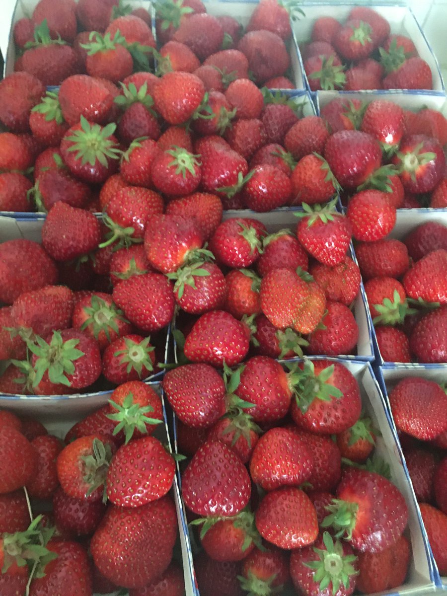 ackostjej's tweet photo. Sommar, sommar, sommar 🎼 startar med ett besök hos Anders Persson i Kvistalånga 🍓#jordgubbar #Kvistalånga https://t.co/Fs8ZaQ75Wk