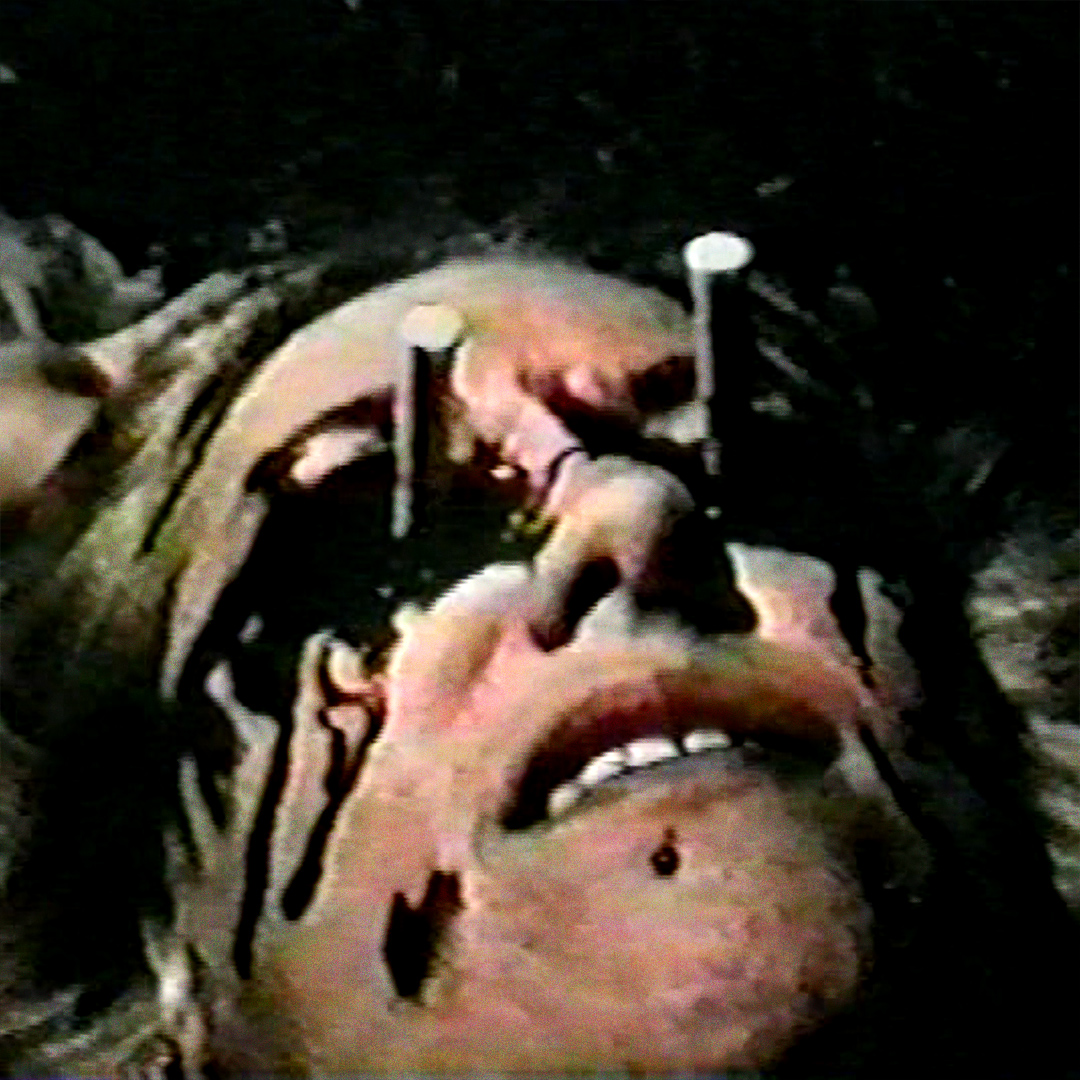 Bleeding Skull tweet media