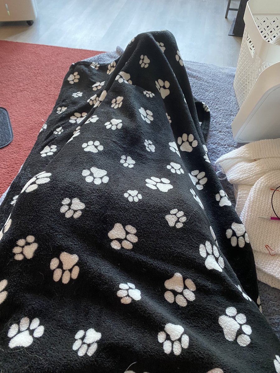 peppertje2012 tweet media