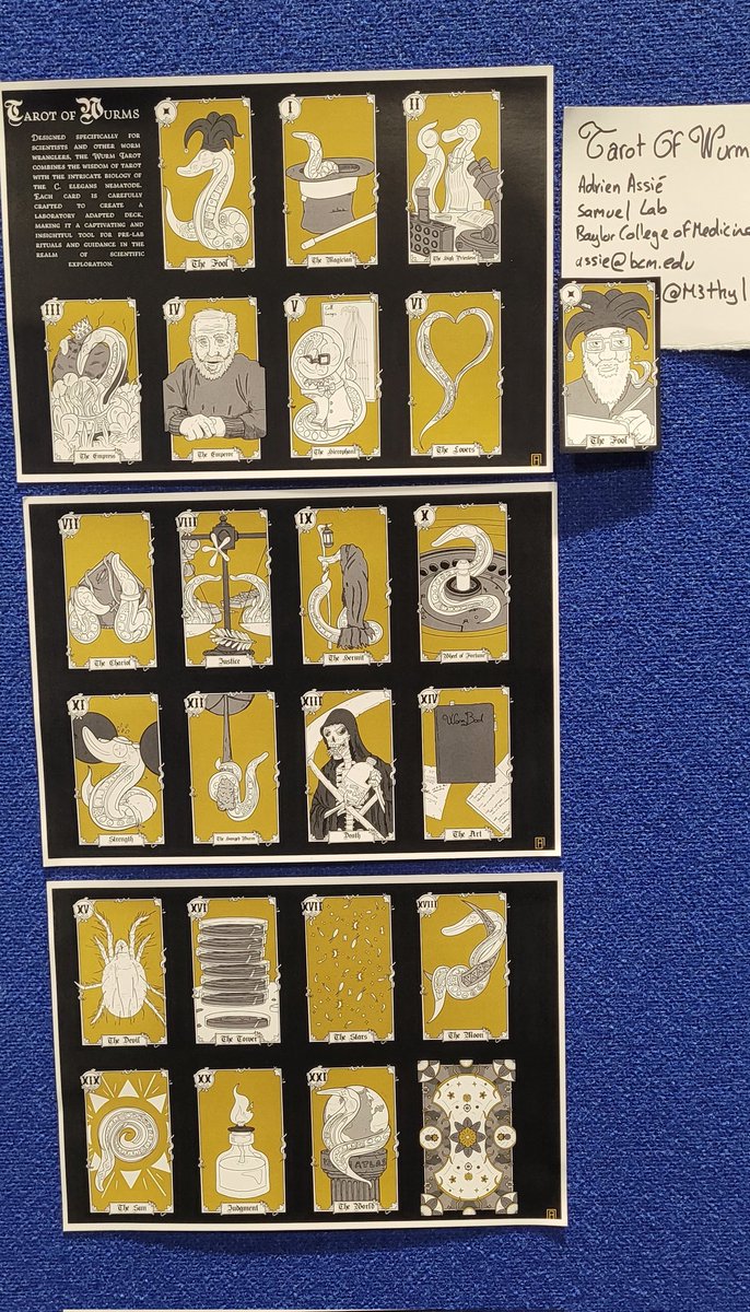 m3thyl's tweet photo. Alright I finally made it to #Worm23!!!
The full tarot of Wurms is up with the other amazing #WormArt23 pieces ! https://t.co/C5PI63SO2V