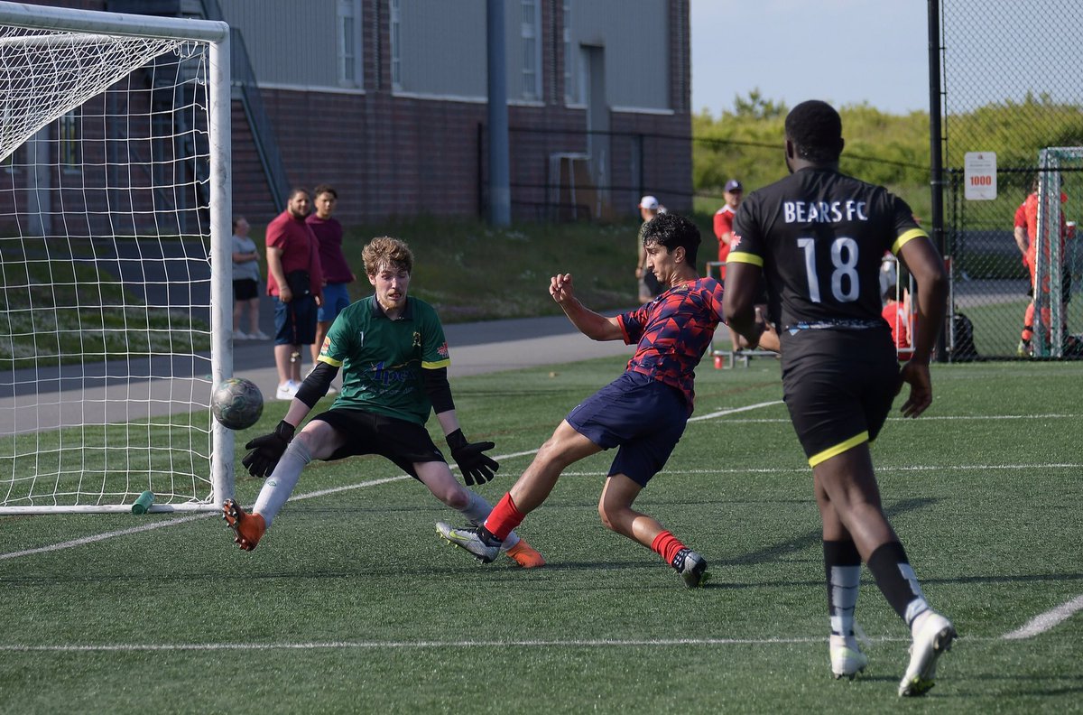 DW Photo tweet media