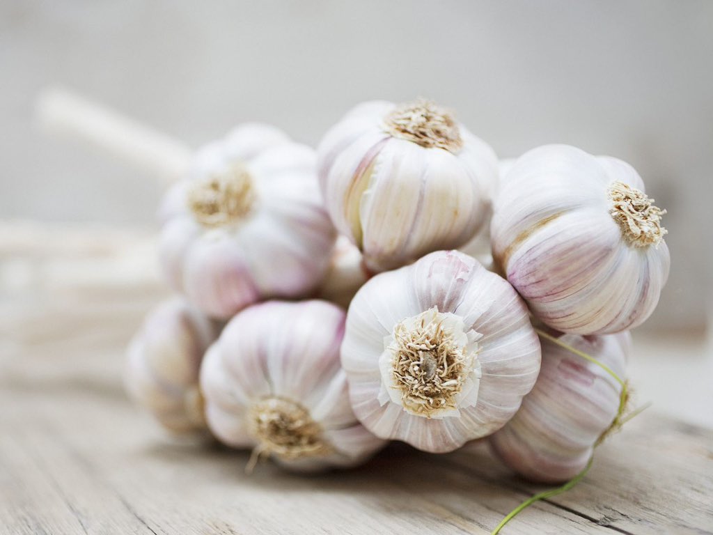 10. Garlic.