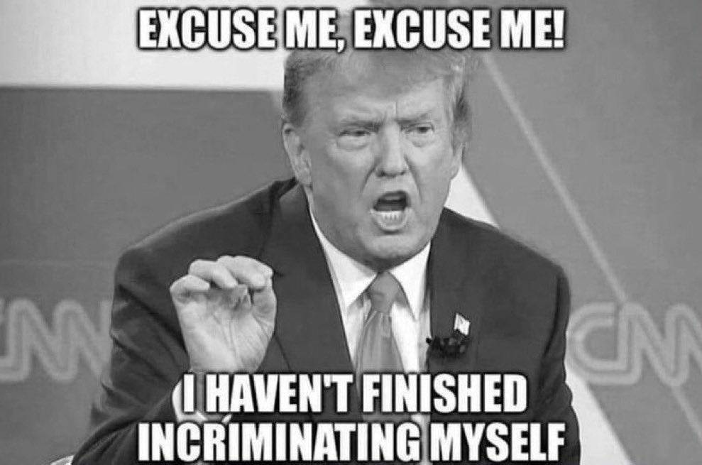 PatsLadi99's tweet image. #SelfInflicted 
"I'm  being Indicted for you."🙄  If you can't do the time, don't commit the Crime Don!