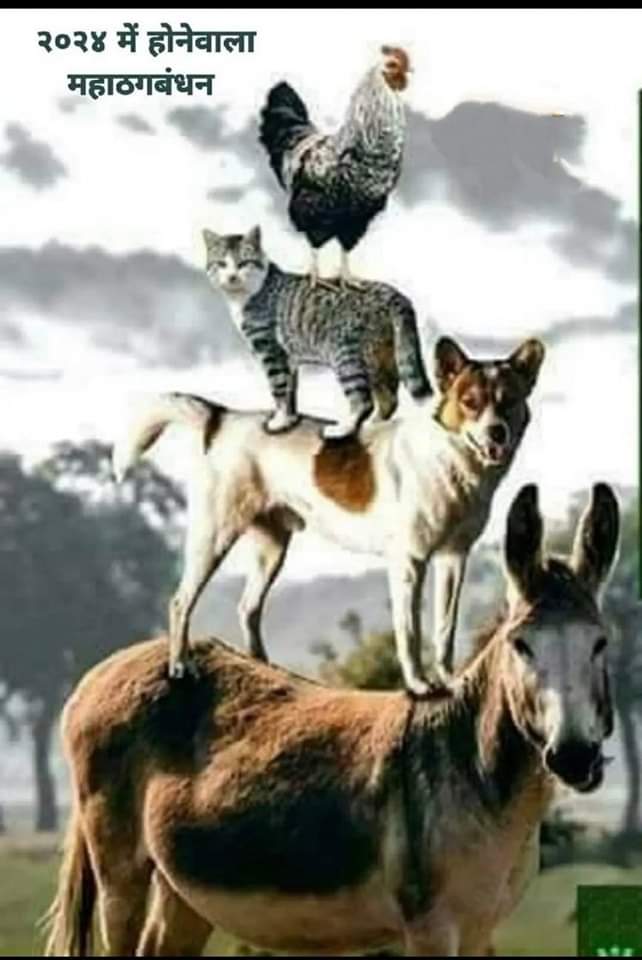 Boss70765936's tweet photo. @LucknowMsk @Raj34746913 @TweetAbhishekA https://t.co/LcSQR8RX7d