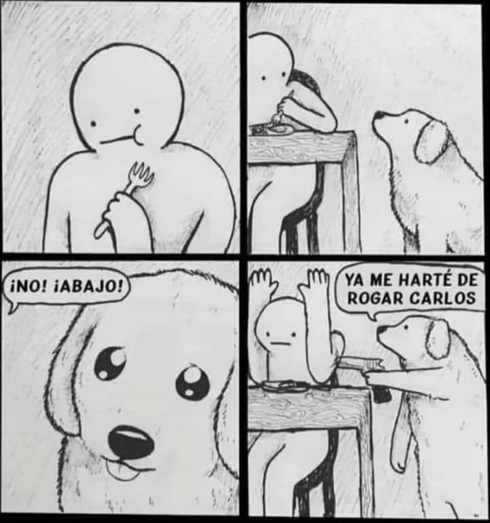 yisucrist's tweet photo. me he reido https://t.co/bluf3oxlD5