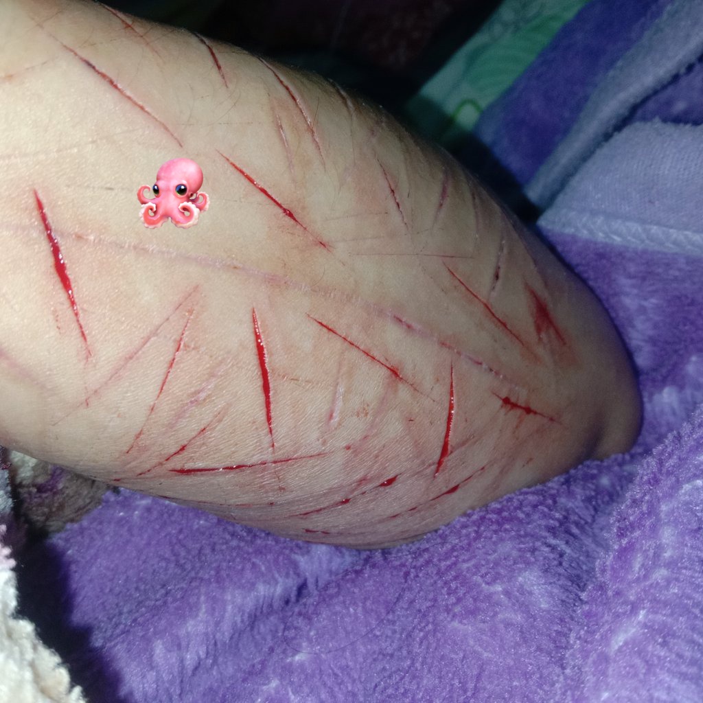 labu shtwt edtwt tweet media