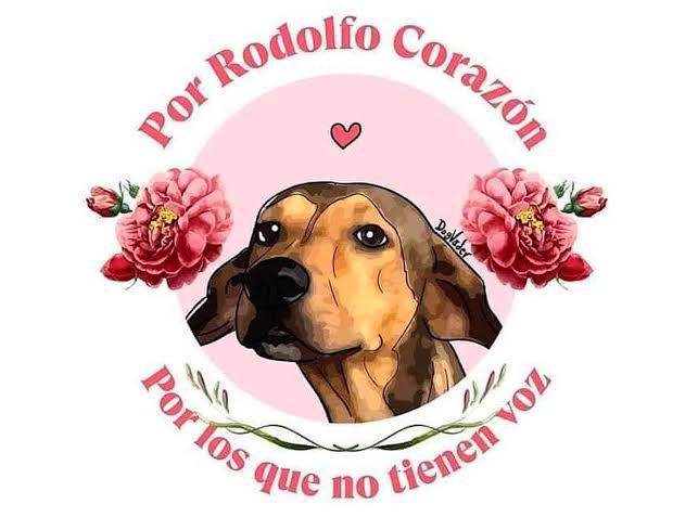 TaylorWesley8's tweet photo. No olvidemos también a Rodolfo Corazón, su asesin0 sigue viviendo su vida normal y hasta contestando mensajes en Facebook, (Jose Lugo) asesin0 a sangre fría a un perrito callejero que estaba durmiendo #NoAlMaltratoAnimal #RodolfoCorazon https://t.co/K0jrfSGdqE
