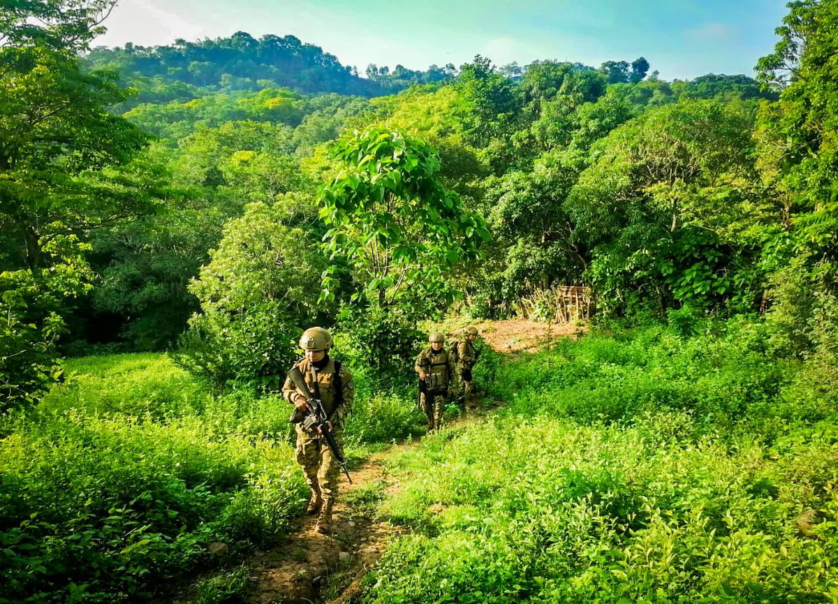 Ministerio de la Defensa Nacional tweet media