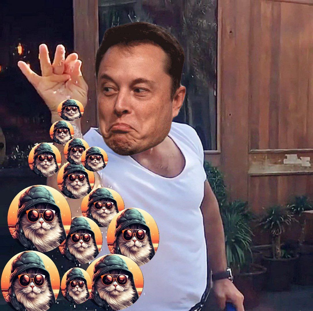 IT'S OUR TIME 💯 $PSYOP 🚀🚀🚀