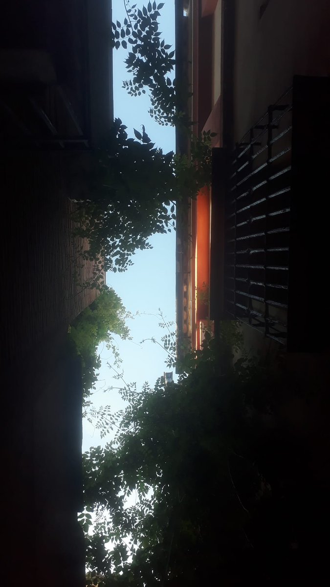 Just arrived from my 1st participation in an international DiGRA conference. Lovely time with colleagues from the game studies community. Warm (indeed, like 43° warm) thanks to the organising crew for putting up such a lively event. Great pixel art also, just saying #DiGRA2023