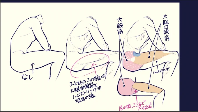 【本日のササッと復習】 太ももにちょっと入れるとかっこいい線は一体なんの線なのかという話 (あと大殿筋(尻肉)が入り込んでる)
