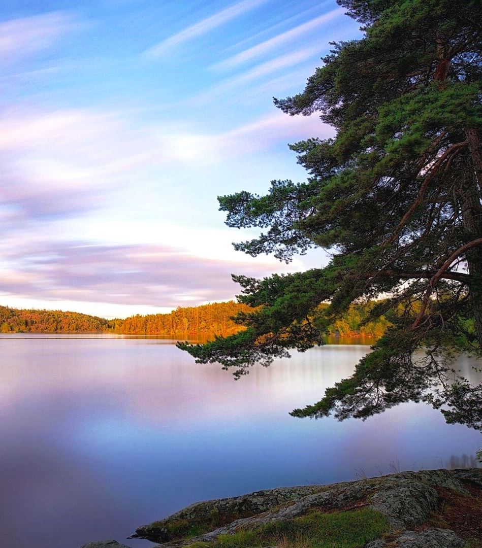 Lake Isojärvi at dawn in Satakunta, Finland  🇫🇮 

#nature #naturephotography #naturebeauty #scenic #photography 

Wikipedia: en.wikipedia.org/wiki/Isoj%C3%A…