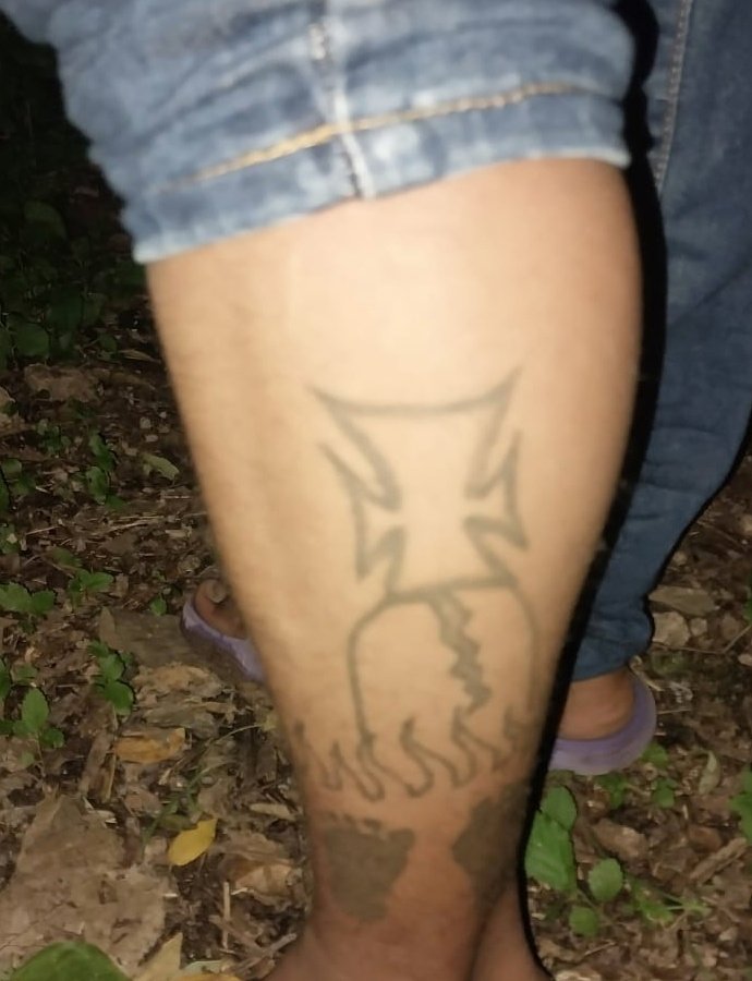 FUERZA ARMADA tweet media