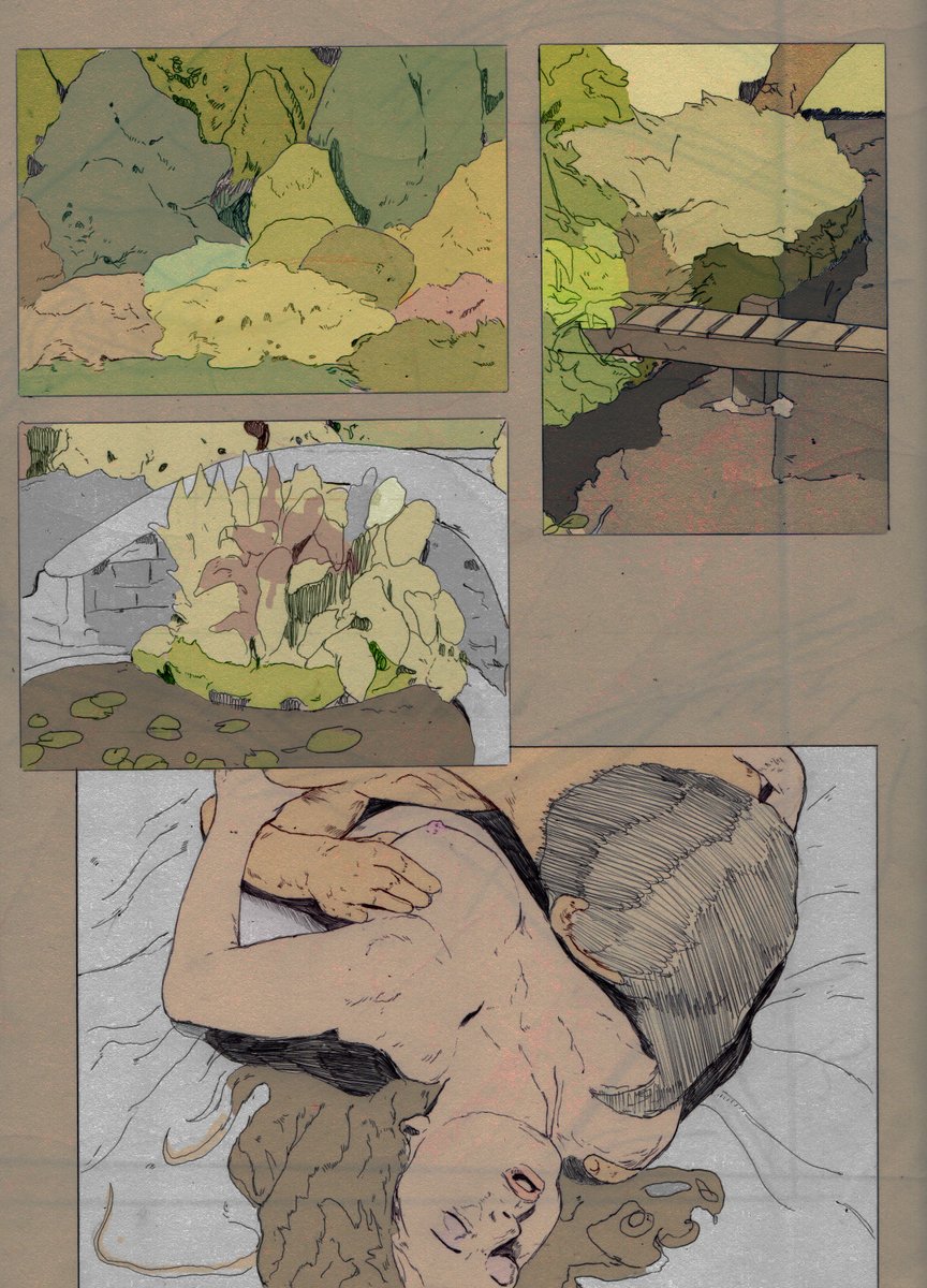 apencilinhand's tweet photo. Here is a selection of nature themed drawings - I don't usually like green (1) https://t.co/VPDfJ0jMo1