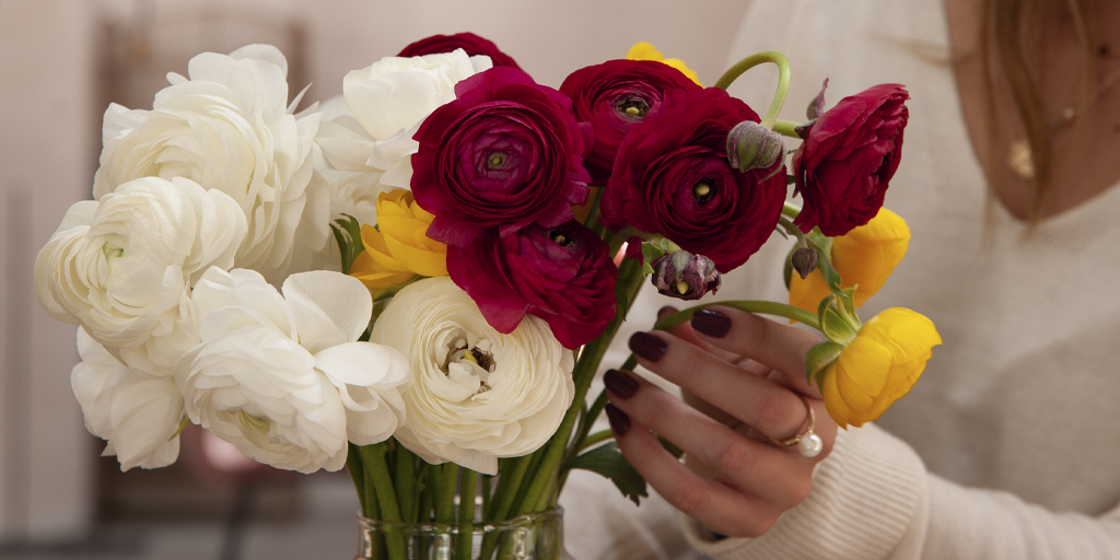 InBloomGroup's tweet photo. "Just living is not enough… One must have sunshine, freedom, and a little flower."- Hans Christian Anderson🌺 #InBloomGroup #FarmFreshFlowers #FarmDirectFlowers https://t.co/eTPLRMnt7u
