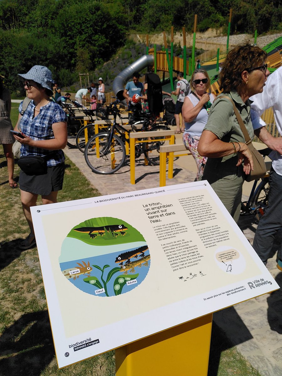 DChapellon's tweet photo. #24hBiodiversité réussies au nouveau parc de #Quincé #Rennes https://t.co/WIvXIazVOS