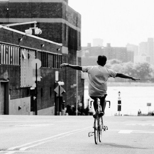 Fanfino 🚲🌱🐘 tweet media