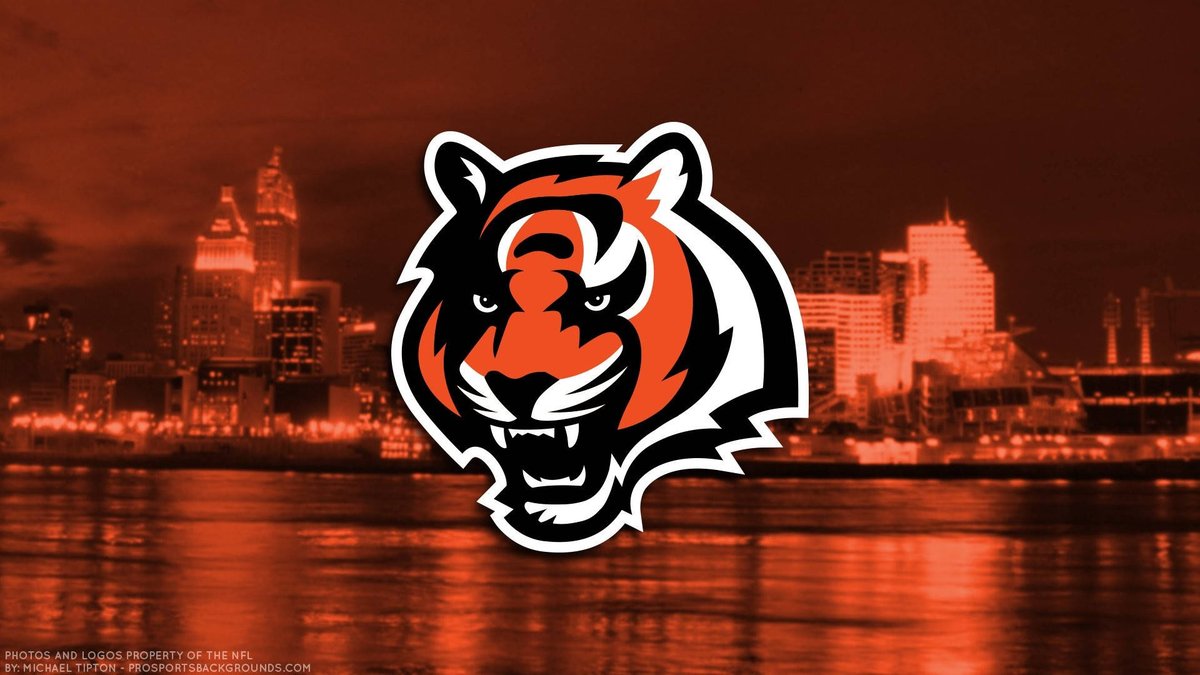 🏈 NFL job Sunday! 🏈 

@Bengals have two #internship opportunities available:

- Corporate Partnership Activation Internship: bit.ly/43YHa0U

- Suites & Hospitality Intern: bit.ly/3CI5AA1

Apply above 👆 

#sportsjobs #footballjobs #sportsbiz 
#RuleTheJungle