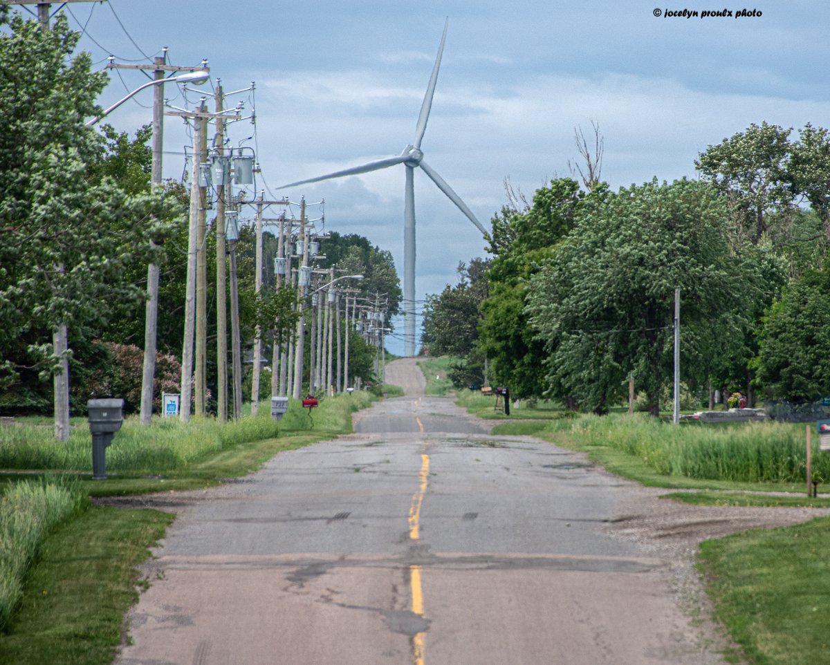 MA photo du JOUR
le dimanche 25 juin 23

agricole

dans un rang
à St-Gédéon