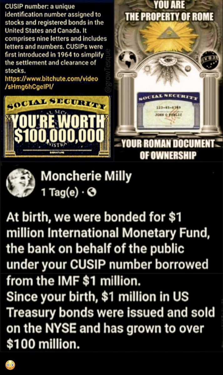 A hard reality for many to accept still.  This IS how our 'Government' has functioned. *WE* are the *commodity* or *collateral* that backs up each *LOAN' our govt takes from [THEM] in order to function.  

As FREE men & women who do we owe 30+Trillion to?  

*Acts of 1871 & 1913*
