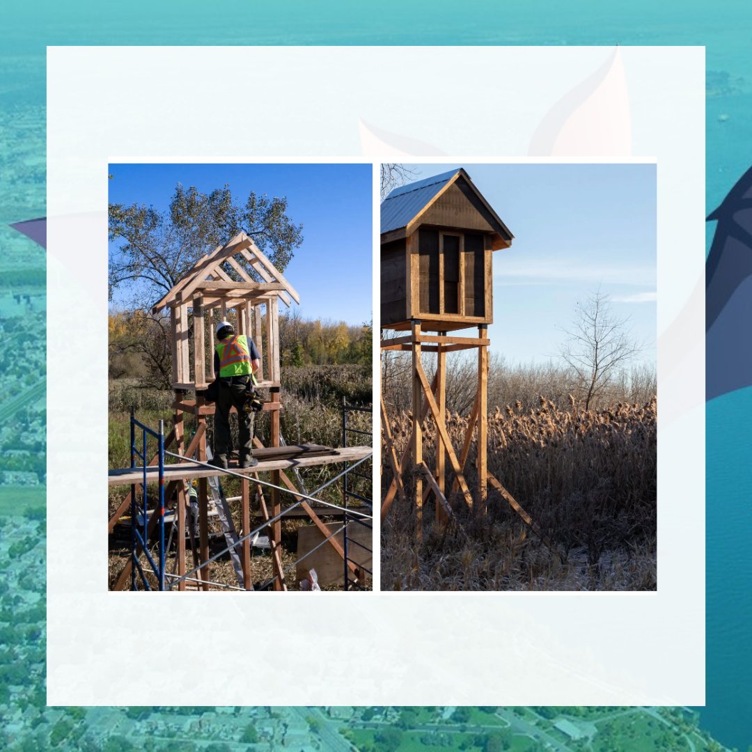 metropolisbleu tweet media