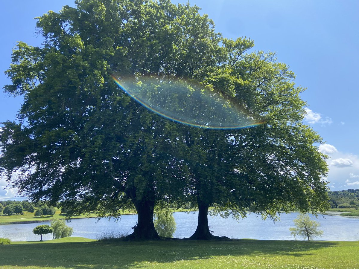 Maureen Tully tweet media