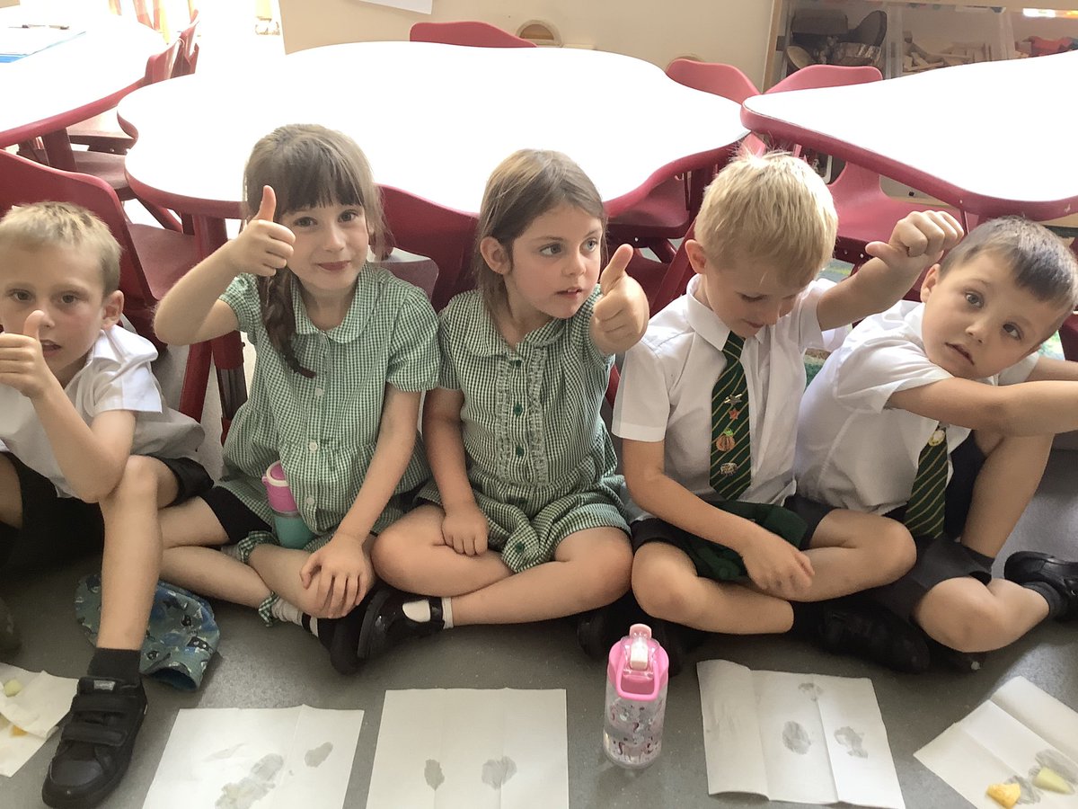 North Town Pippins tweet media