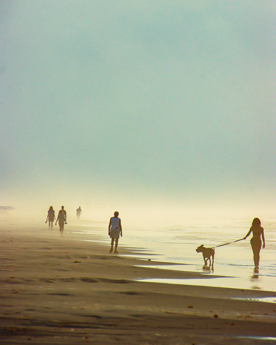 Beach walk on Galveston’s East Beach.
.
.
.
.
#galveston #galvestonisland #fyp #beachwalk #beach #beachlife #beachvibes #oceanside #gulfofmexico #canonphotography #canonusa #canon90d #tamron #tamron18400