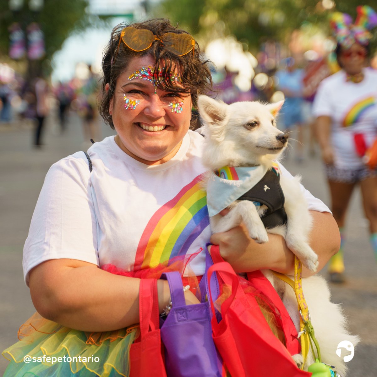 SafePetOntario's tweet photo. Pets are family, and who better to join in the Pride Parade with than family? Make sure your fur babies are healthy and happy at today's parade: keep them hydrated, watch for signs of stress, and take them to a quiet spot for "down time" regularly. 

Happy Pride, Toronto!!!! xoxo https://t.co/RAt8eFGd6V