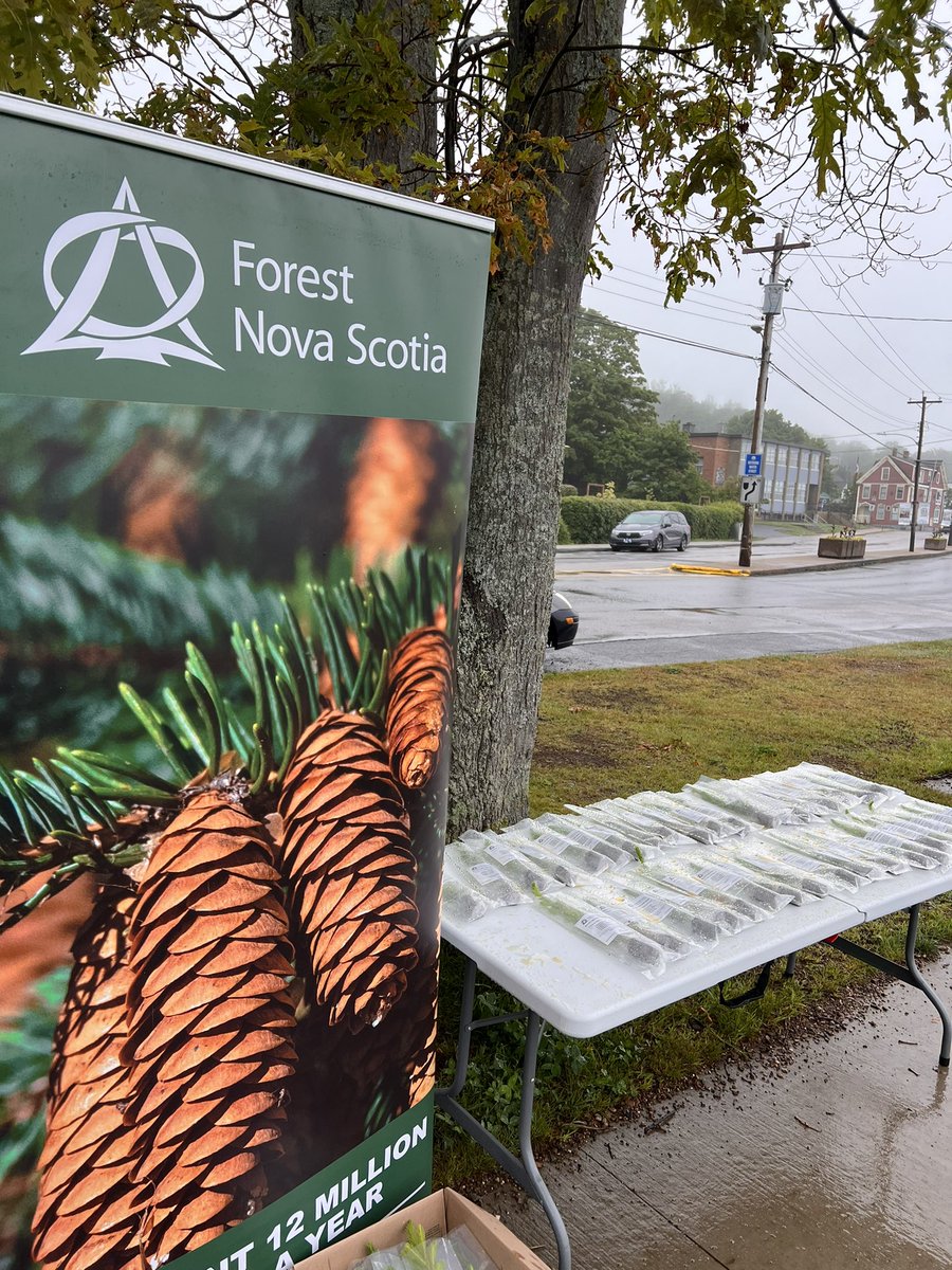 Forest Nova Scotia tweet media