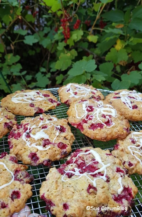 Rechtzeitig zum gestrigen Johannistag waren bei uns die ersten gleichnamigen Beeren reif. Da es aber noch nicht so viele waren, habe ich sie in ein paar Keksen verbacken: Haferflocken-Cookies mit Johannisbeeren
#Haferflocken #Johannisbeere #Cookies

wassersch.eu/corumblog/2023…