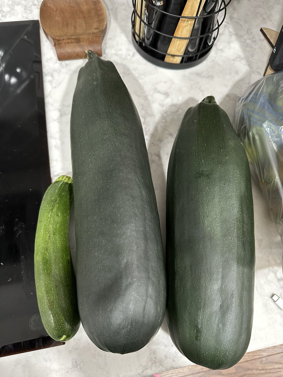 abby0dom's tweet photo. Store bought vs. Home grown zucchini from my dads garden

What a scam https://t.co/tHYZFt9PD8
