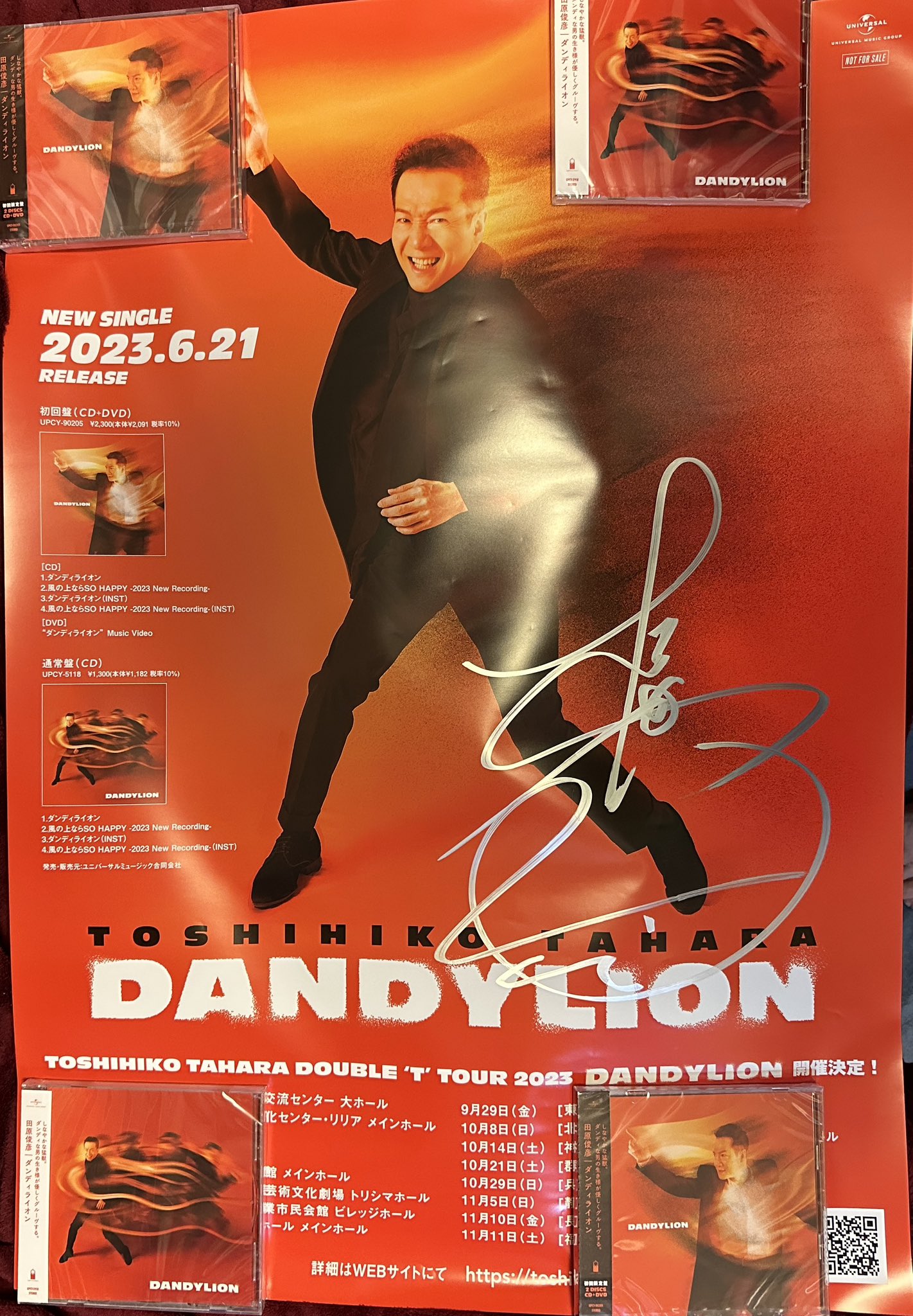 すずらん 田原俊彦 ダンディライオン サイン ポスター - 通販