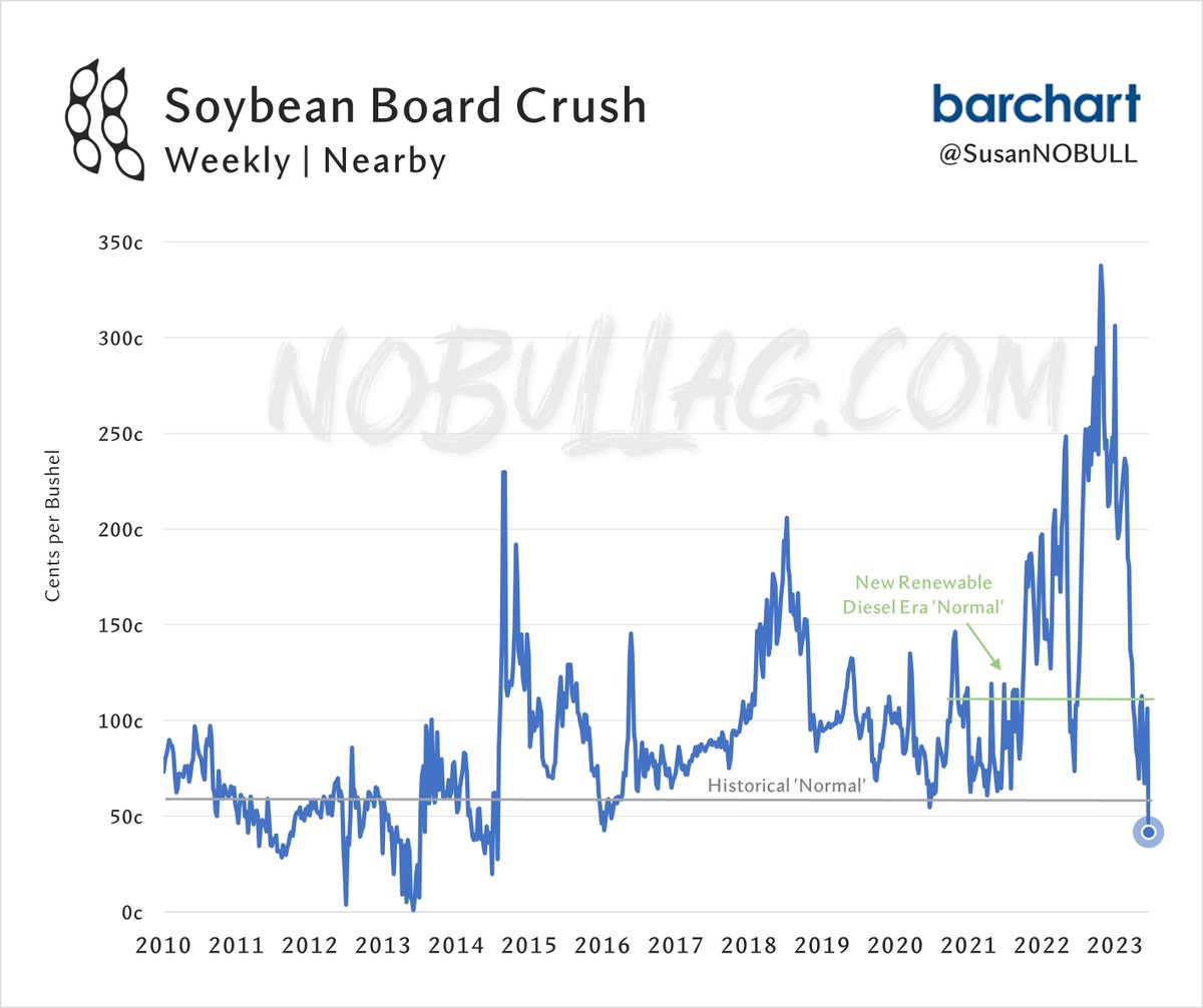 Susan Stroud tweet media
