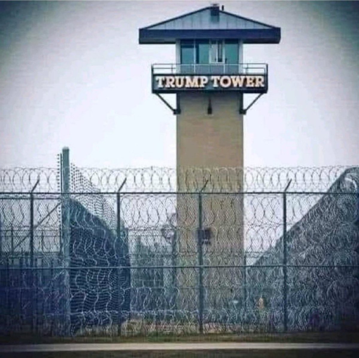 SenseiDuckOR's tweet photo. Hey #BlueCrew…Night Owls🦉&amp; Insomniacs😵

Late Night follow party 4 TRUE BLUE 🌊💙Accounts

💙Like💙
🗣️Comment🗣️
♻️Retweet♻️
👁️Vet👁️
🗽Follow🗽
🤝🏻Follow Back🤝🏻

MAKE  SURE  YOU  VET/FOLLOW  BACK  BLUE ACCTS IF  THEY  FOLLOW  YOU…this only works if  we  ALL  do #StrongerTogether https://t.co/sMhSeo2hzp