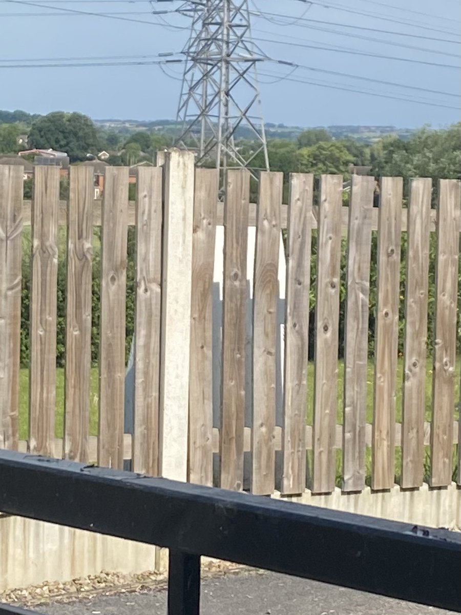 HellingtonBoots's tweet image. I was excited to search for two #trigpoints on today’s walk. 
A pillar and a bolt. 

Not quite as exciting as I thought. The pillar was in someone’s garden 😳🤷‍♀️ and the bolt looks insignificant (the twig is pointing it out! 😂)
Still had fun finding them though.
#LegsAndLaces