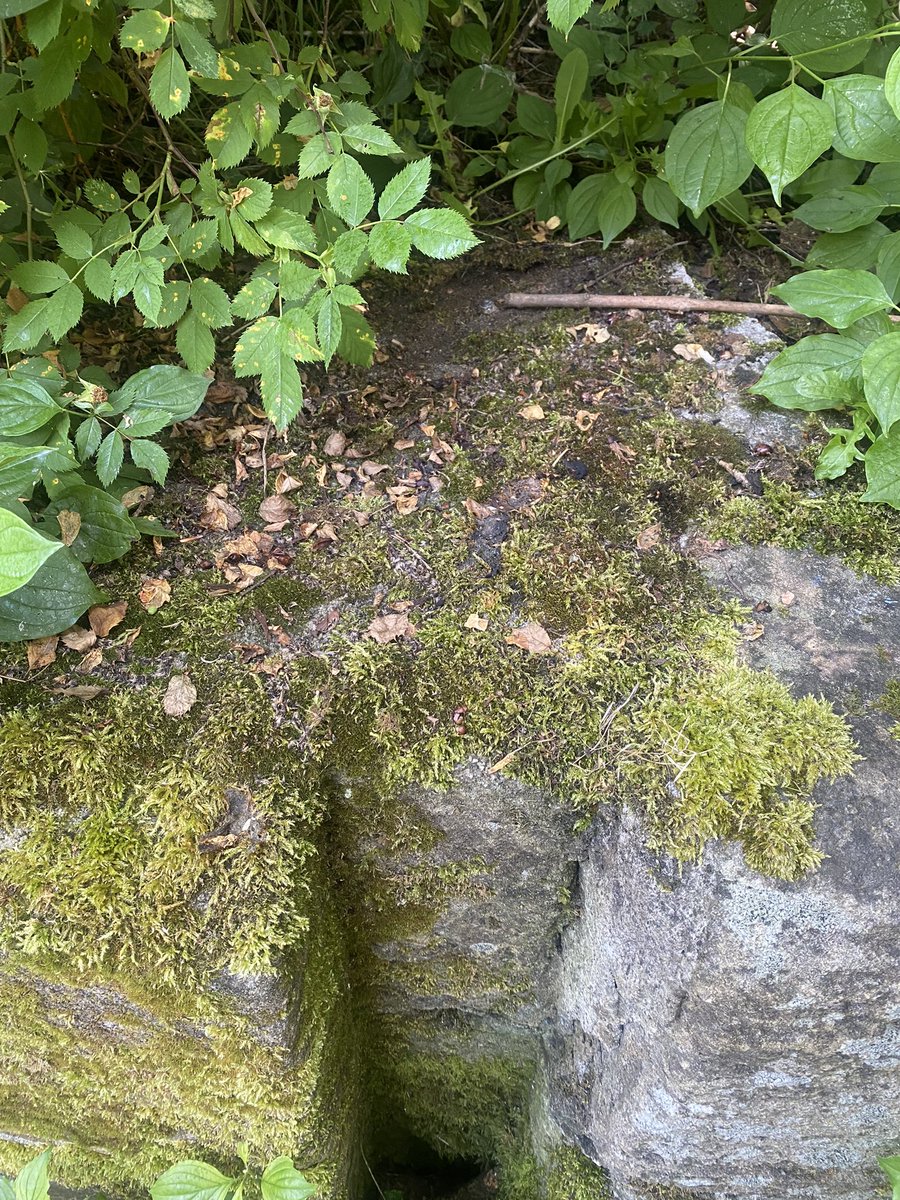 HellingtonBoots's tweet image. I was excited to search for two #trigpoints on today’s walk. 
A pillar and a bolt. 

Not quite as exciting as I thought. The pillar was in someone’s garden 😳🤷‍♀️ and the bolt looks insignificant (the twig is pointing it out! 😂)
Still had fun finding them though.
#LegsAndLaces