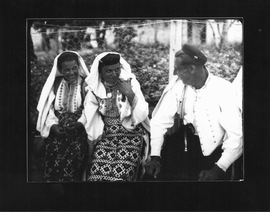 koshaid1's tweet image. #Repost  by @/drstanakatic Ig post 

Same, girl. Same. #SocialSaturday … #DinaricHoodlum

What are you lot up to this weekend?

🦚🦚

#StanaKatic