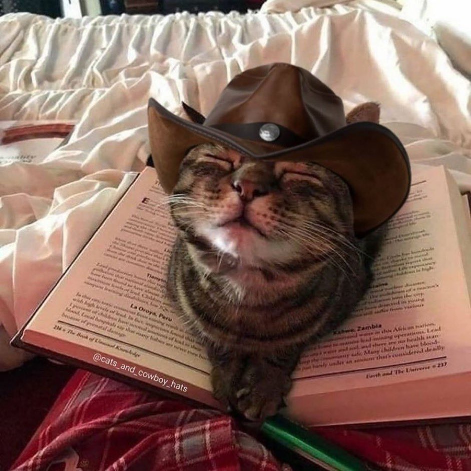 corporate needs you to find the differences between this picture and this picture.