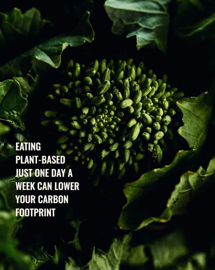 One way you can reduce your carbon footprint is by eating a plant based diet. The land, water & energy that goes into animal agriculture impacts our planet. Start with one day without meat and transition slowly. It’s better for you and ultimately our earth. #LivingGreen🌎#Vegan