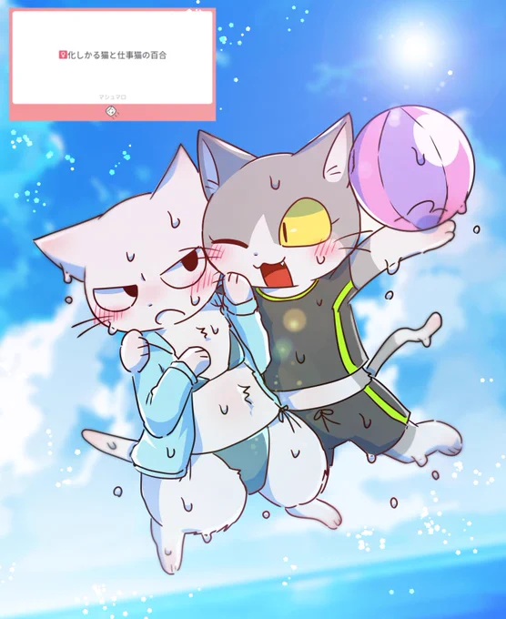 マシュマロありがとうございます!最近暑いので2匹を海に行かせました!分かりづらいですが一応メス化させてるつもりです