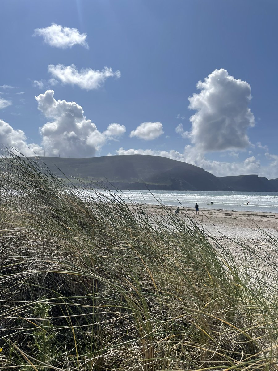 Anne Conlon Sales Strategist tweet media