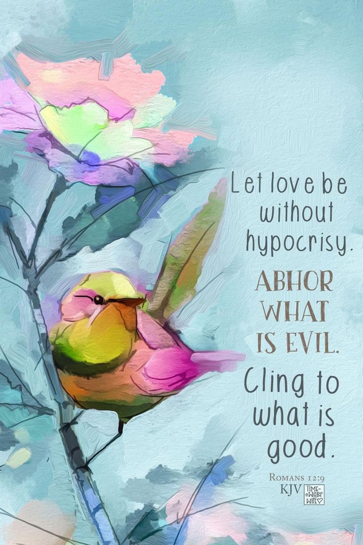 Dearest Friends...
Sunday Blessings...
Love and Hope...for each of us ...

Let love be without hypocrisy...

ABHOR WHAT IS EVIL...
Cling to what is good...

💜ROMANS 12:9 KJV TIME WARP

#IDWP🕊️
#LOVETRAINFROMIRAN
#JoyTrain
🚂💜🪄💫✨🦋🌞🌻🌟