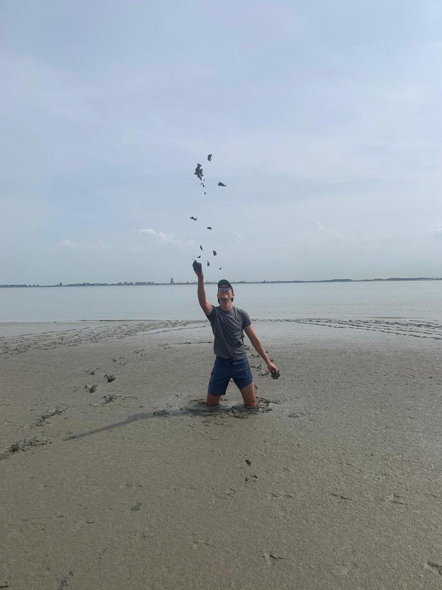 Learning about tidal flats or playing in the mud? A little bit of both at the #IRESNL23 field trip to the Western Scheldt