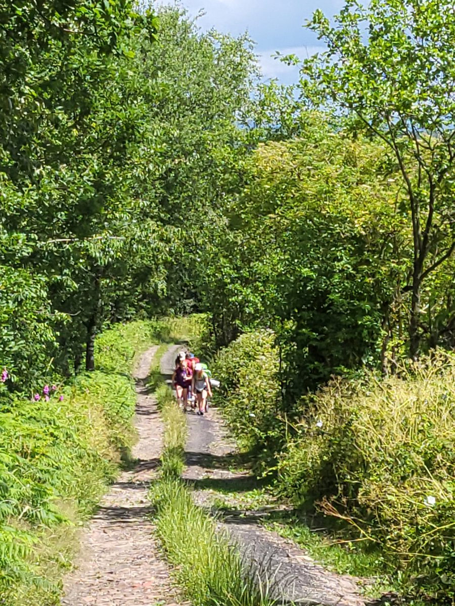 @Hope_dofe tweet media