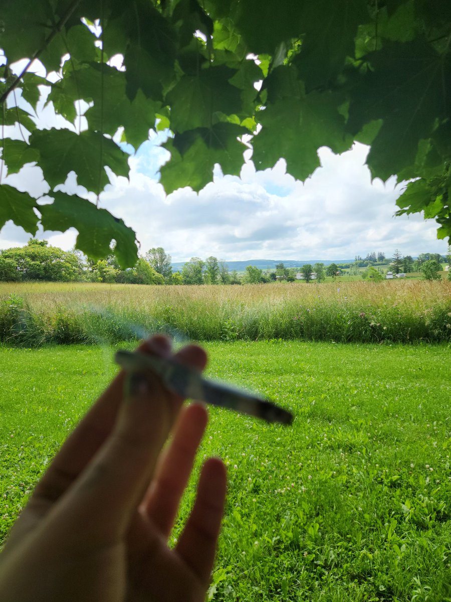 Jaime on Twitter "Fat doink in amish on this fine Sunday"