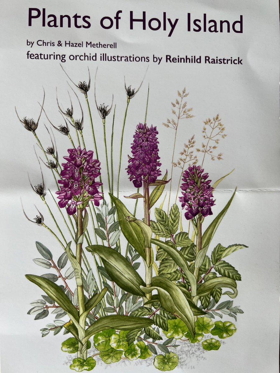 Tom Cadwallender (@tomcadwallender) on Twitter photo ‘Plants of Holy Island’ This soon to be published plant book has just caught my attention. Published by natureguides. @nee_naturalist <a href="/NaturalEngland/">Natural England</a> <a href="/CommonByNature/">James Common</a> ‘Plants of Holy Island’ This soon to be published plant book has just caught my attention. Published by natureguides. @nee_naturalist <a href="/NaturalEngland/">Natural England</a> <a href="/CommonByNature/">James Common</a>