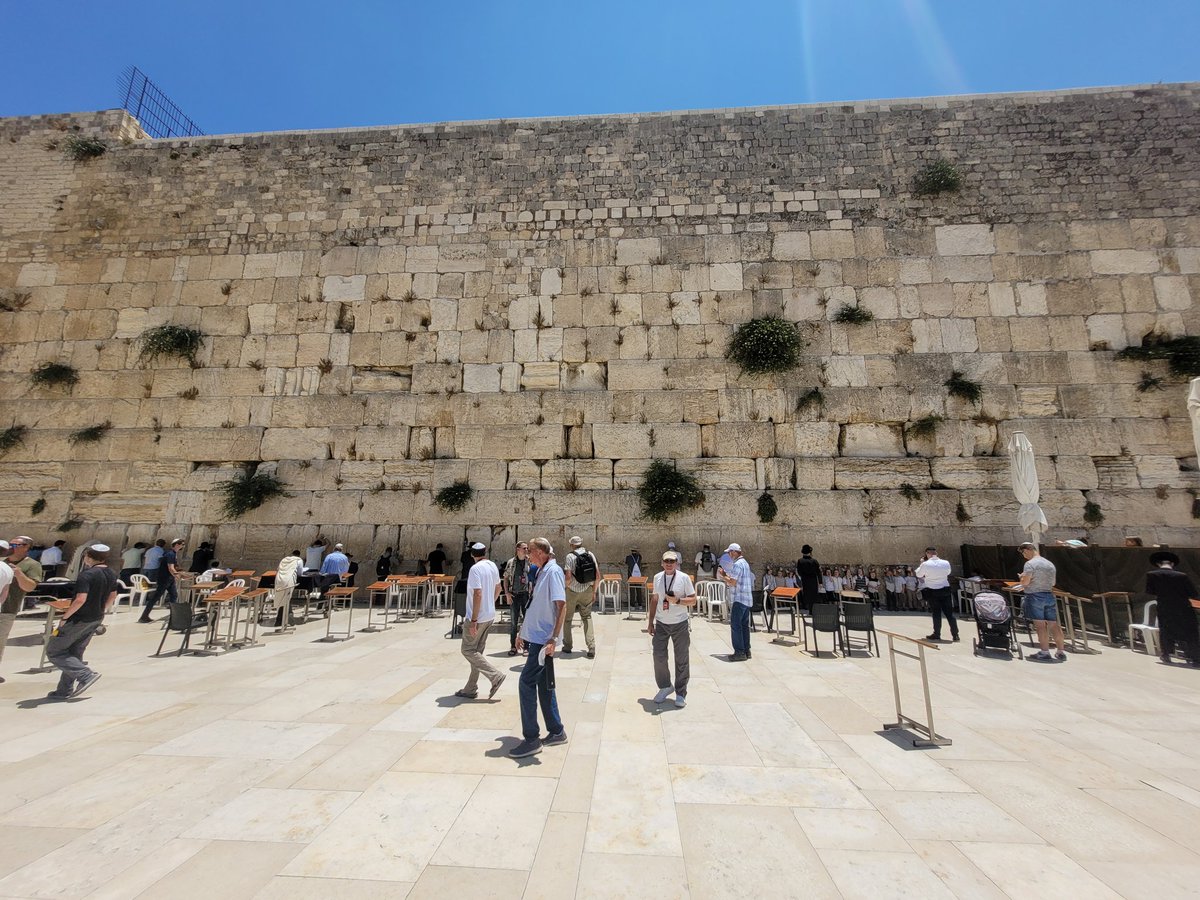 Thomas L Muinzer tweet media