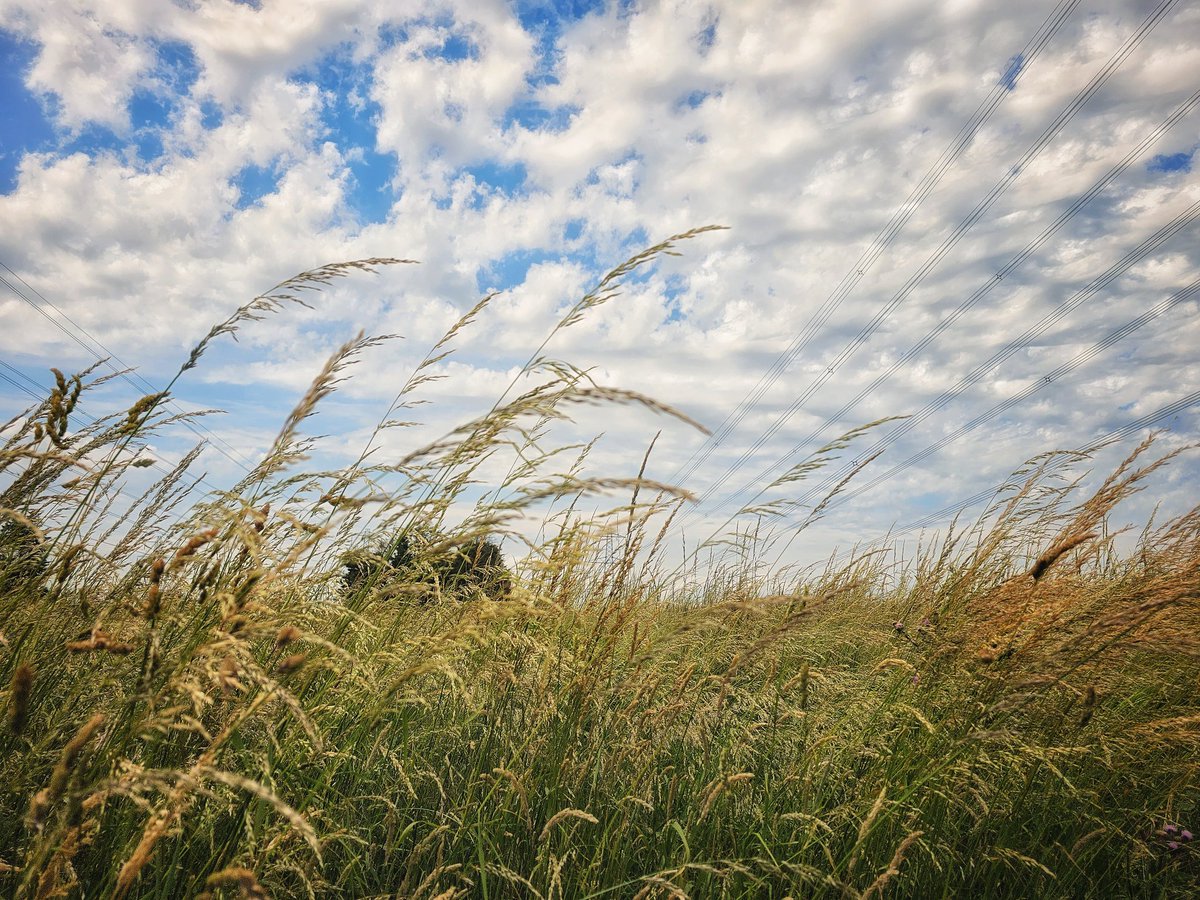 Lovely warm day in #Caldicot #Monmouthshire 

@DerekTheWeather @Ruth_ITV @kelseyredmore @ChrisPage90 @ITVCharlieP @bbcweather @S4Ctywydd @ItsYourWales @visit_mon @MonCountryside @MonmouthshireCC @ourlivinglevels #loveukweather